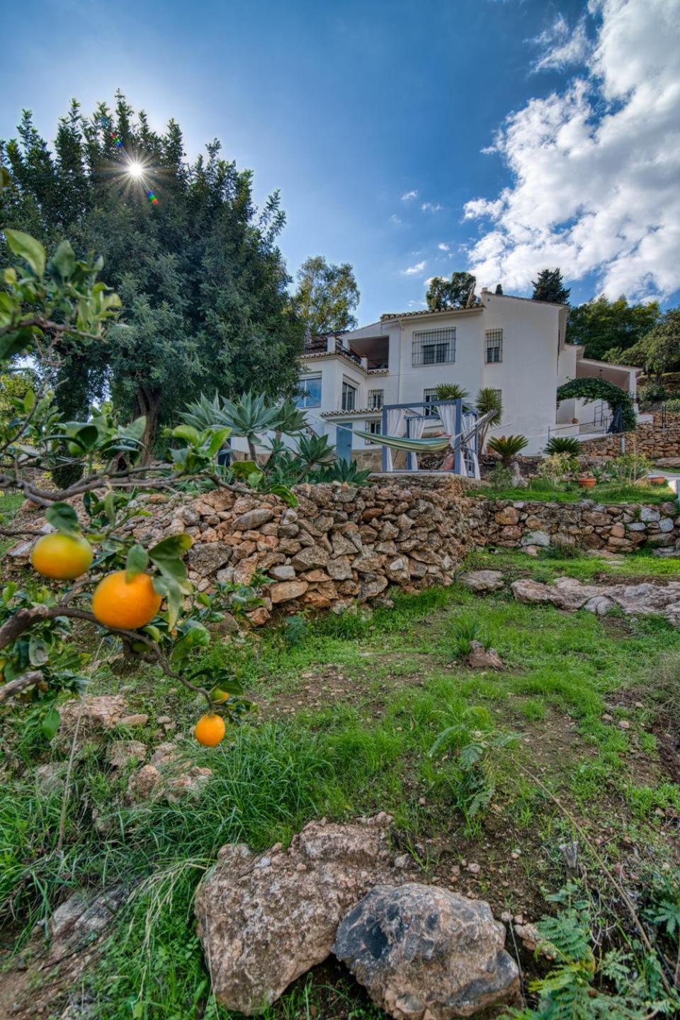 Villa Morera Bed & Breakfast Frigiliana Exterior photo